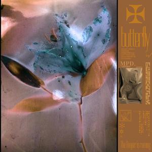 寡妇肥奶大屁股好紧
